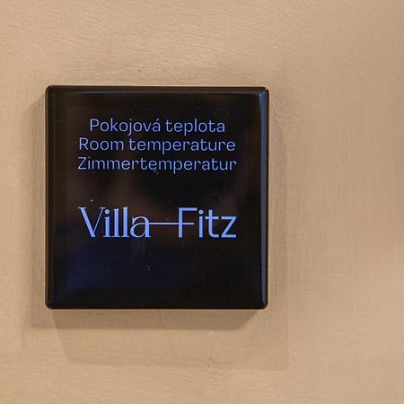 Villa Fitz روكيتساني المظهر الخارجي الصورة